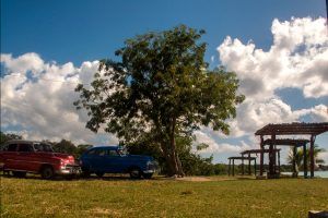 Aparcar a la sombra en Bahía de Cochinos